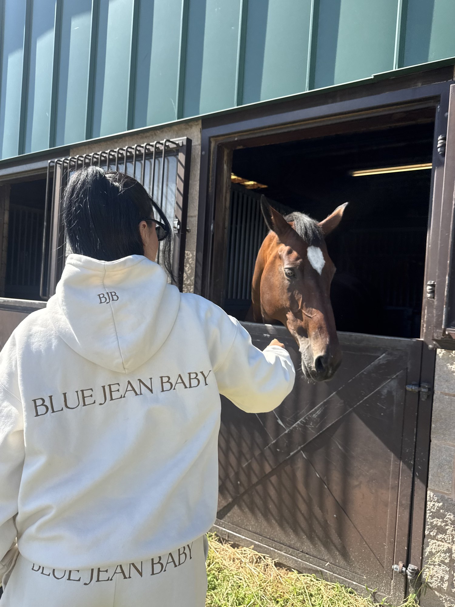 Blue Jean Baby back print in the stable
